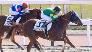 【新馬/東京4R】ドゥラメンテ産駒 ジョンソンテソーロがデビューV