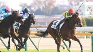 【新馬/東京5R】モーリス産駒 シークルーズがデビューV