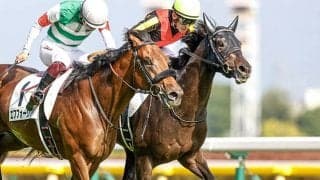 【ジャパンC予想】AI本命「◎」はコントレイルじゃない!? ダービー馬が「4世代」集う一戦に人工知能が導き出した答えは…