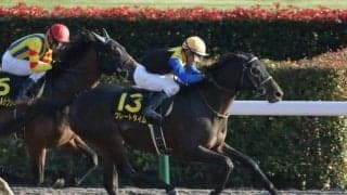 【カノープスSハンデ確定】グレートタイムは56.0kg、エブリワンブラックは54.0kg