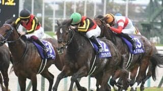 歴史に残る名マイラー！ タピッツフライの血を受け継ぐ唯一の馬・グランアレグリア
