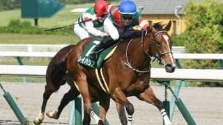 【京阪杯想定騎手】レイハリアは亀田温心騎手、シヴァージは吉田隼人騎手