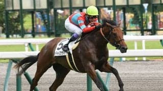 【京都2歳S想定騎手】トゥデイイズザデイは武豊騎手、フィデルは川田将雅騎手