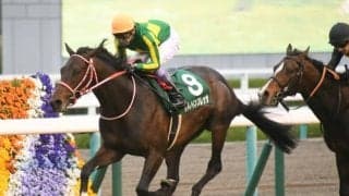 【先週のJRA抹消馬】毎日杯覇者のサトノインプレッサ、アーモンドアイの半妹ユナカイトなど