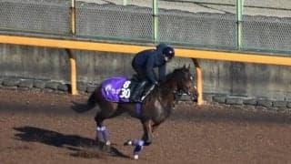 ドウデュースなど、先週の入厩情報/栗東トレセンニュース