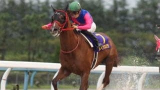 【浦和記念 13時時点オッズ】メイショウカズサが単勝2.0倍の1番人気、ウェスタールンドが3.6倍で続く