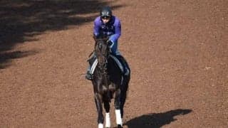 デシエルトなど、先週のゲート試験/栗東トレセンニュース