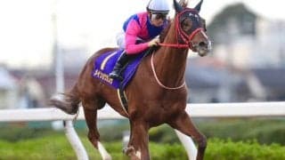 【浦和記念結果】メイショウカズサが逃げ切って重賞連勝！地元のタービランスが2着