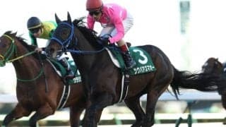 ツクバアズマオーが10歳で死亡　2017年の中山金杯覇者