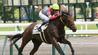 【京都2歳S予想オッズ】ディープ産駒トゥデイイズザデイが予想1番人気