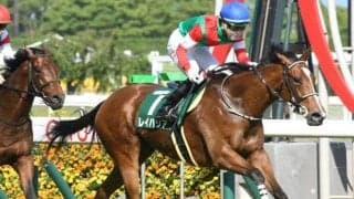 【京阪杯予想オッズ】4連勝中の3歳馬レイハリアが予想1番人気