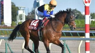 【ジャパンC展望】好メンバーでも波乱含み、あの馬の復活を期待したい