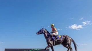 【ジャパンC 注目馬】女王戴冠の舞台で再びヒロインの座を狙う才媛