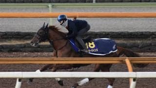 テーオーケインズ、チャンピオンズC1週前追い切り速報/栗東トレセンニュース