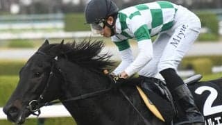 【次走】秋明菊賞を制したオタルエバーは朝日杯FSへ、引き続き幸英明騎手とコンビ