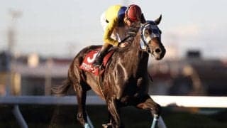 【浦和・まがたま賞結果】本田正重騎手騎乗の1番人気アマネラクーンが快勝