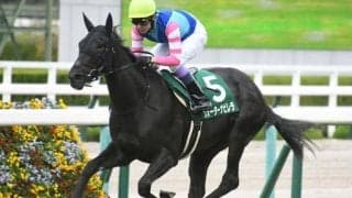 【阪神ジュベナイルF想定】シルバーステート産駒のウォーターナビレラなど4頭の2歳重賞ウィナーが集結