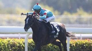 【香港ヴァーズ 選出馬】グローリーヴェイズ、ステイフーリッシュなど9頭