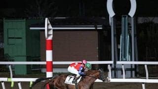 なぜ大井競馬は左回りを実施したのか？ 背景にある国際的なダート競馬の“潮流”