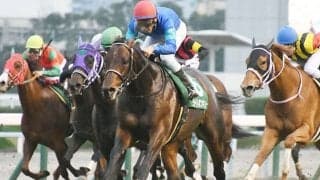 【京阪杯展望】時計が掛かるスプリント戦、注目はあの馬