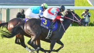 ジャパンＣで引退の３冠馬コントレイルをデータは後押し。好敵手シャフリヤールの勝算は？