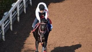 【ジャパンC枠順確定】ラストランのコントレイルは1枠2番！シャフリヤールは2枠4番