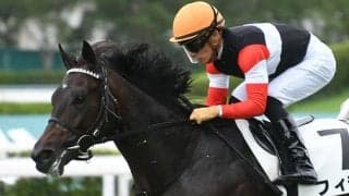 【京都2歳S出走馬・騎手確定】トゥデイイズザデイ＆武豊騎手、フィデル＆川田将雅騎手など10頭