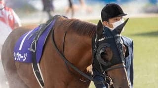 【京阪杯出走馬・騎手確定】レイハリア＆亀田温心騎手、シヴァージ＆吉田隼人騎手など16頭