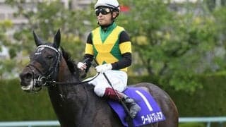 【JRA】今年の天皇賞・春などを制したワールドプレミアが電撃引退 優駿SSで種牡馬入りへ