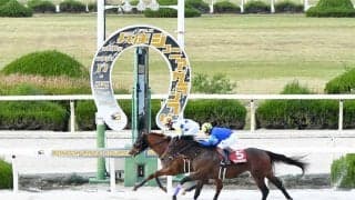 【兵庫ジュニアグランプリ】セキフウが3連勝で重賞初制覇
