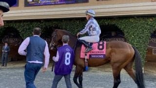 【ジャパンC】外国馬情報：調教状況・関係者コメント（11月25日）