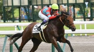 【京都2歳S「見逃せない調教師」ベスト3】2016年以降、阪神芝2000mで重賞5勝を挙げている調教師は？