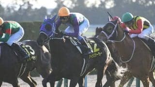【京阪杯「見逃せない調教師」ベスト3】阪神芝1200mで複勝率42.9％、複勝回収率140％を記録している調教師は？