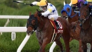 【兵庫ジュニアGP回顧】鞍上の好判断でセキフウ/斎藤修