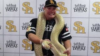 ソフトバンクが「サファリパーク」に挑戦　“完全自己責任”の仰天企画はなぜ実現した？