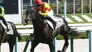 【京都2歳S予想】今年はフィデルだけ!? ノーザンファームの躍進はそれでも続くのか