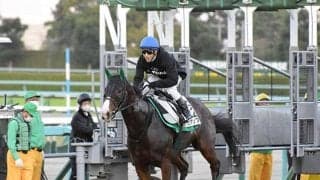 【次走】発走調教再審査合格のビアンフェはシルクロードSへ