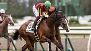 【京都2歳S前日オッズ】キャンデセントが2.4倍で1番人気