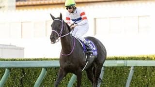 【京阪杯前々日オッズ】エイティーンガールが2.3倍で1番人気