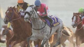 【地方競馬】今年の東京大賞典はフジテレビ・関西テレビ・東海テレビ・BSフジで生中継！