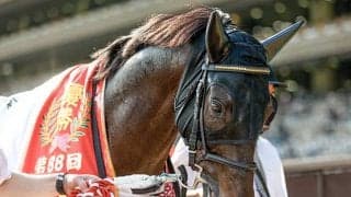 【ジャパンC】シャフリヤールは「大帝」ジャパンは「日出之國」 出走馬の馬名意味と香港表記を紹介