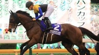 新旧ダービー馬による「２強」対決に沸くジャパンＣ。舞台が合うかつてのダービー馬も要注意