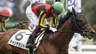 【京都2歳S予想】難解な1戦で、心強い材料を持つ注目の若駒