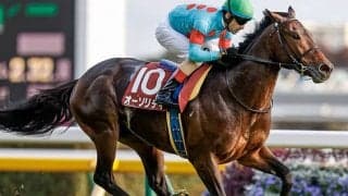 【ジャパンC予想】GI未勝利馬が波乱の立役者に!? Vポジション候補にまさかの「あの馬」