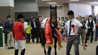 【ジャパンC】マカヒキ陣営「すごくすごく具合がいいです」/ねぇさんのトレセン密着