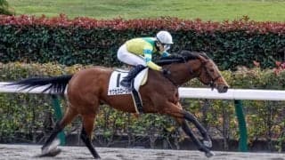 【東京6R新馬戦結果】サクセスローレルが逃げ切り4馬身差完勝