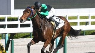 【阪神5R新馬戦結果】8番人気サクが内から抜け出して押し切る