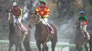 【ステイヤーズS想定】前年覇者オセアグレイトなど13頭、カウディーリョはムーア騎手と新コンビ