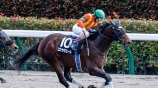 【カトレアS結果】ルメール騎手騎乗コンシリエーレが早め先頭から押し切り無傷2連勝