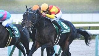 【京都2歳S】ジャスティンロックが早めに動いて3頭の競り合いを制す！リオンディーズ産駒のJRA重賞初V